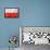 Polish Flag-daboost-Framed Stretched Canvas displayed on a wall