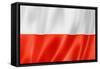 Polish Flag-daboost-Framed Stretched Canvas