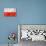 Polish Flag-daboost-Stretched Canvas displayed on a wall