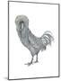 Polish (Gallus Gallus Domesticus), Rooster, Poultry, Birds-Encyclopaedia Britannica-Mounted Poster