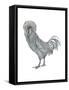Polish (Gallus Gallus Domesticus), Rooster, Poultry, Birds-Encyclopaedia Britannica-Framed Stretched Canvas