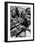 Polish Sausage Store Customers Have 60 Varieties from Which to Choose-John Dominis-Framed Photographic Print