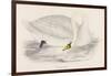 Polish Swan-Reverend Francis O. Morris-Framed Art Print