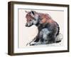 Polish Wolf Pup, 2001-Mark Adlington-Framed Premium Giclee Print