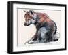 Polish Wolf Pup, 2001-Mark Adlington-Framed Premium Giclee Print