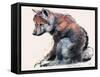 Polish Wolf Pup, 2001-Mark Adlington-Framed Stretched Canvas