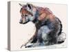 Polish Wolf Pup, 2001-Mark Adlington-Stretched Canvas