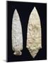 Polished Flint Daggers, Copper Age, Umbria, Italy-null-Mounted Giclee Print