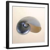 Polished Nautilus-Tom Artin-Framed Art Print