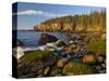 Polished Rocks at Otter Cliffs, Acadia National Park, Maine, USA-Chuck Haney-Stretched Canvas