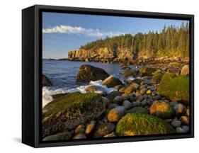 Polished Rocks at Otter Cliffs, Acadia National Park, Maine, USA-Chuck Haney-Framed Stretched Canvas