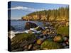 Polished Rocks at Otter Cliffs, Acadia National Park, Maine, USA-Chuck Haney-Stretched Canvas