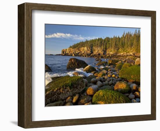 Polished Rocks at Otter Cliffs, Acadia National Park, Maine, USA-Chuck Haney-Framed Photographic Print