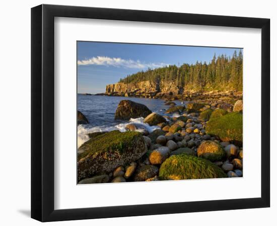 Polished Rocks at Otter Cliffs, Acadia National Park, Maine, USA-Chuck Haney-Framed Photographic Print