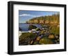 Polished Rocks at Otter Cliffs, Acadia National Park, Maine, USA-Chuck Haney-Framed Photographic Print