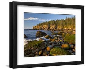 Polished Rocks at Otter Cliffs, Acadia National Park, Maine, USA-Chuck Haney-Framed Photographic Print