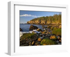 Polished Rocks at Otter Cliffs, Acadia National Park, Maine, USA-Chuck Haney-Framed Photographic Print