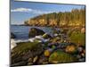 Polished Rocks at Otter Cliffs, Acadia National Park, Maine, USA-Chuck Haney-Mounted Photographic Print