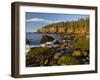 Polished Rocks at Otter Cliffs, Acadia National Park, Maine, USA-Chuck Haney-Framed Photographic Print