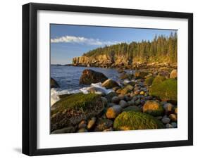 Polished Rocks at Otter Cliffs, Acadia National Park, Maine, USA-Chuck Haney-Framed Photographic Print