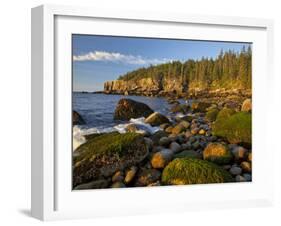 Polished Rocks at Otter Cliffs, Acadia National Park, Maine, USA-Chuck Haney-Framed Photographic Print