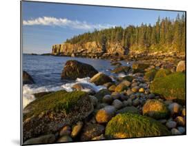 Polished Rocks at Otter Cliffs, Acadia National Park, Maine, USA-Chuck Haney-Mounted Photographic Print