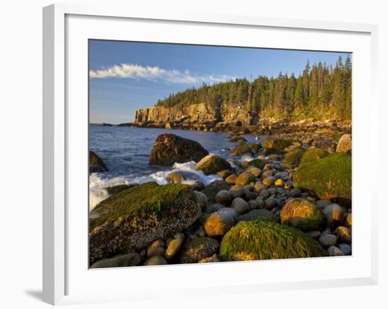 Polished Rocks at Otter Cliffs, Acadia National Park, Maine, USA-Chuck Haney-Framed Photographic Print