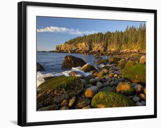 Polished Rocks at Otter Cliffs, Acadia National Park, Maine, USA-Chuck Haney-Framed Photographic Print