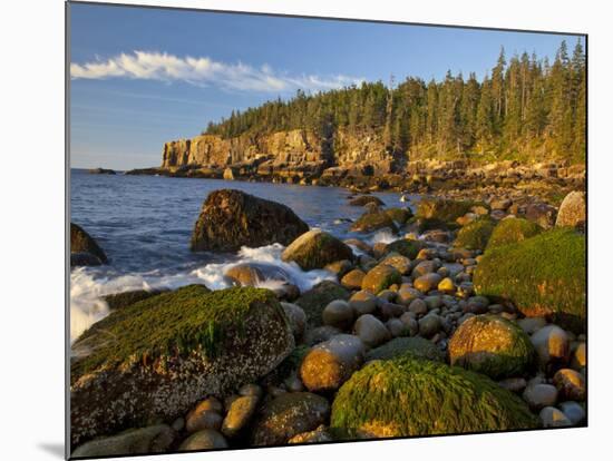 Polished Rocks at Otter Cliffs, Acadia National Park, Maine, USA-Chuck Haney-Mounted Photographic Print