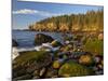 Polished Rocks at Otter Cliffs, Acadia National Park, Maine, USA-Chuck Haney-Mounted Photographic Print