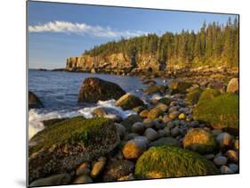 Polished Rocks at Otter Cliffs, Acadia National Park, Maine, USA-Chuck Haney-Mounted Photographic Print