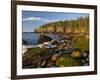 Polished Rocks at Otter Cliffs, Acadia National Park, Maine, USA-Chuck Haney-Framed Photographic Print