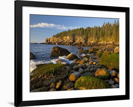 Polished Rocks at Otter Cliffs, Acadia National Park, Maine, USA-Chuck Haney-Framed Photographic Print