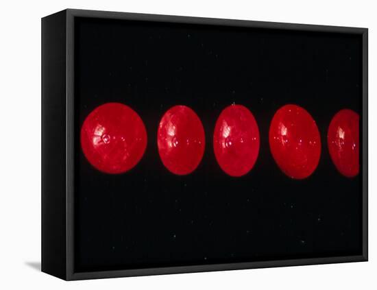 Polished Rubies-Vaughan Fleming-Framed Stretched Canvas