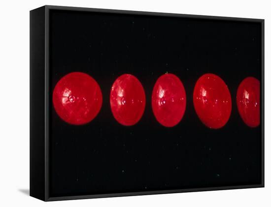 Polished Rubies-Vaughan Fleming-Framed Stretched Canvas
