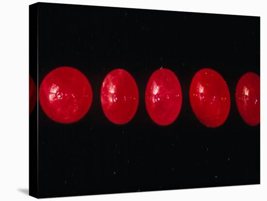 Polished Rubies-Vaughan Fleming-Stretched Canvas