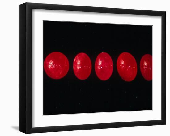 Polished Rubies-Vaughan Fleming-Framed Photographic Print