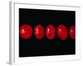 Polished Rubies-Vaughan Fleming-Framed Photographic Print