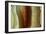 Polished Slice of Agate-Vaughan Fleming-Framed Photographic Print