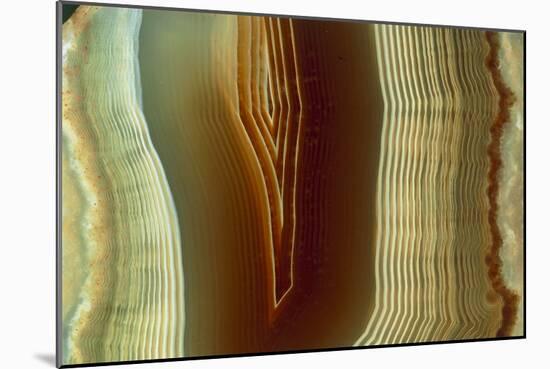 Polished Slice of Agate-Vaughan Fleming-Mounted Photographic Print