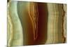 Polished Slice of Agate-Vaughan Fleming-Mounted Photographic Print