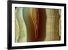 Polished Slice of Agate-Vaughan Fleming-Framed Photographic Print