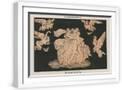 White Frame