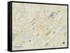 Political Map of Birmingham, AL-null-Framed Stretched Canvas