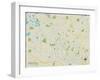 Political Map of Birmingham, MI-null-Framed Art Print