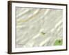 Political Map of Blountville, TN-null-Framed Art Print