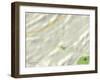 Political Map of Blountville, TN-null-Framed Art Print