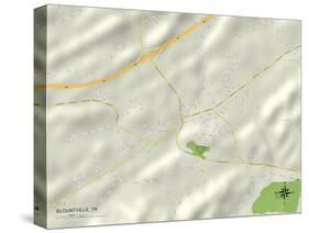 Political Map of Blountville, TN-null-Stretched Canvas