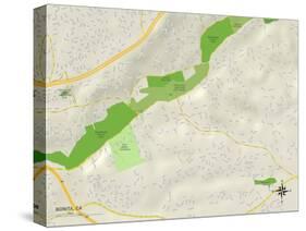 Political Map of Bonita, CA-null-Stretched Canvas