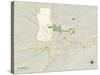 Political Map of Cheyenne, WY-null-Stretched Canvas